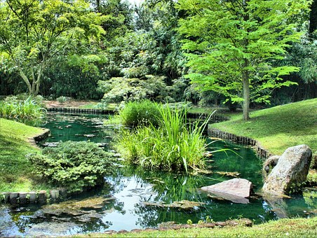 PAYSAGISTE CHEF EQUIPE JARDINIER ELAGUEUR