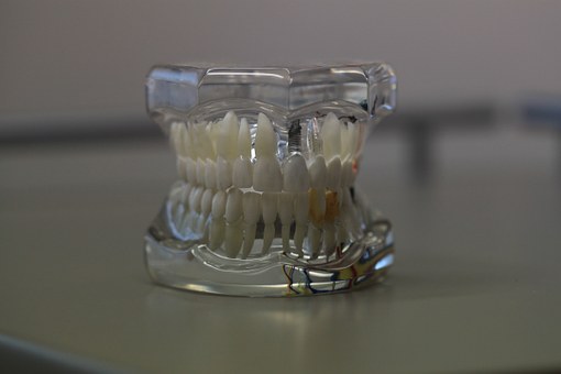 prothesiste dentaire ceramiste dentiste