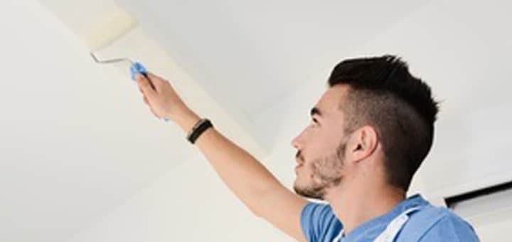 PEINTRE EN BATIMENT