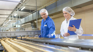 RESPONSABLE QUALITE USINE AGRO